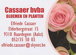 Cassaer_250_180